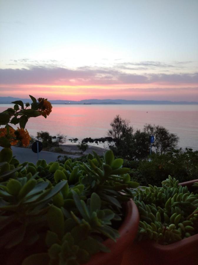 Casa Bon' Aria Fronte Mare Sud Sardegna Villa La Maddalena  Eksteriør billede